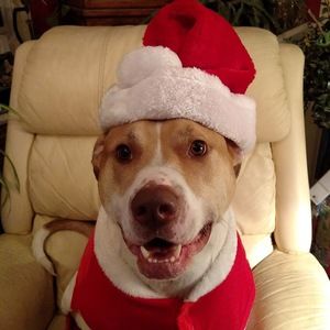 Meet your Posher, Bryanna